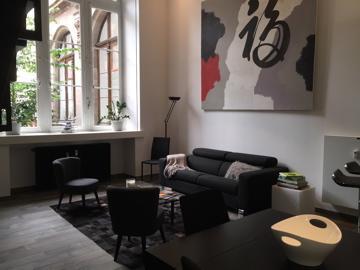 Appartement Saint Thomas Prestige Strasbourg Kültér fotó